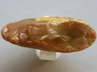 Agate-RiverRockFlatRed2015-Img_6229SSS.webp