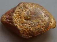 Agate-RiverRockFlatRed2015-Img_6231SSS.webp