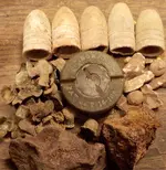 DSCN0605.webp