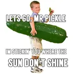 tumblr_nkofgtf81H1rfq0ndo1_500.webp