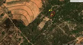 rddowse2vein22.webp