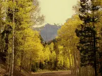 mine road 3.webp