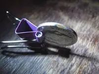 partial clip 008.webp