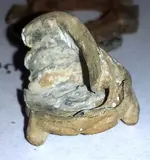 20150513_070820.webp