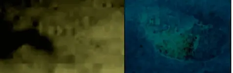 oldman1C2compare.webp