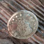 CAM00654-1.webp