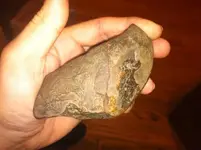 Unknown Bone septarian.webp