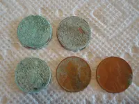 Green Wheats.webp