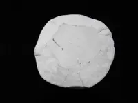 DSCF0105.webp