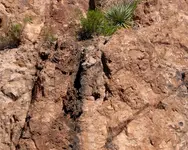 RH-area Cliff Wall 2A.webp