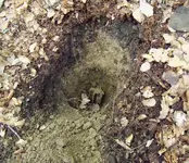 Mortar in ground.webp