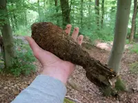 81mm Mortar.webp