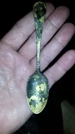CM150507-22481901.webp