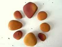 mustard 2.webp
