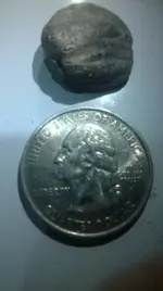 Sneed Bullet Back.webp