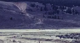 barn in haden gone.webp