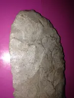 ImageUploadedByTreasureNet.com1429402321.126129.webp