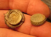 4 Ch RR 051415 Seals.webp