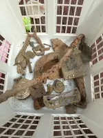ImageUploadedByTreasureNet.com1430494241.086349.webp