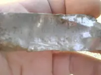 1431661710431.webp