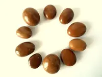brown.webp