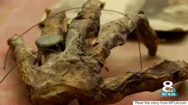 gaspar HAND-ATTIC-FOUND-570.webp