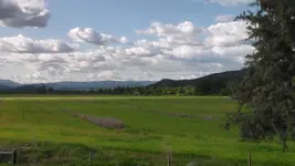 SAM_0069.webp