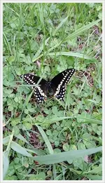 20150512_141710_resized.webp
