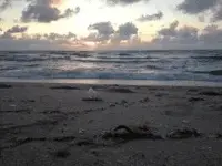 4-11-15 a.m. Lake Worth2.webp