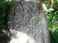 1432666309483.webp