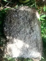 1432666336461.webp