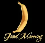 images (3).webp