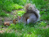 K1600_008.webp