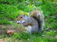 K1600_007.webp