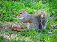 K1600_004.webp