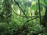 11017884_338751049654472_3270809512956631005_n.webp