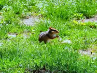 K1600_022.webp