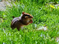 K1600_023.webp