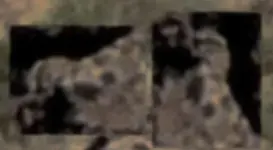 SuperstionMts1Owl.webp