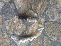 ImageUploadedByTreasureNet.com1431118342.363336.webp