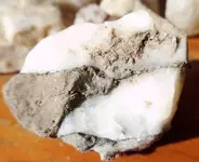 f opal common or boulder.webp