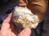 Lots of visible gold in quartz in a sample Ron Feldman says came from the Lost Dutchman Mine_.jpg