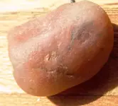f opal single pink1.webp