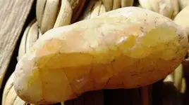 opal goldf.webp
