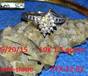 2015 Gold Ring #6.webp