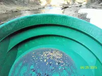 gold4-20-15 (1).webp