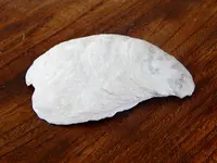 DSCN0223.webp