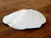 DSCN0225.webp