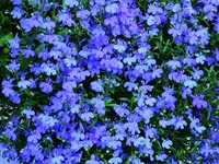 K1600_057.webp