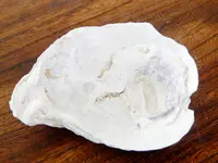 DSCN0227.webp